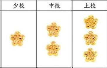 三顆梅花軍階|軍銜肩章上的「梅花」和「五角星」代表什麼含義？看。